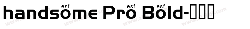 handsome Pro Bold字体转换